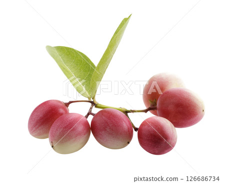 Pile of Karonda Fruit, Carissa carandas L. Karanda; Carunda isolated on a white background 126686734