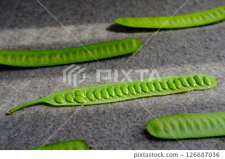 Close-up of Open Green Bean Pod on Fabric 126687036