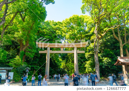 Meiji Jingu  126687777