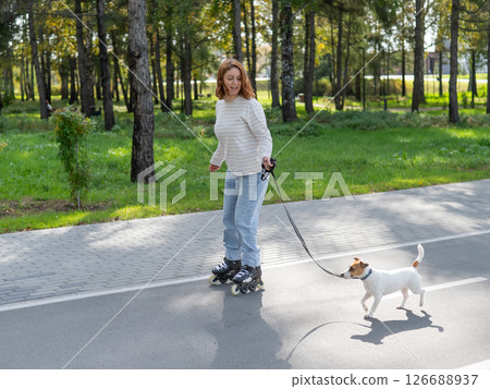 Caucasian woman roller skating with her jack russell terrier dog in park. Caucasian woman roller skating with her jack russell terrier dog in park. 126688937
