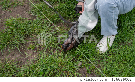 A woman cleans up dog excrement while on a walk. 126689002