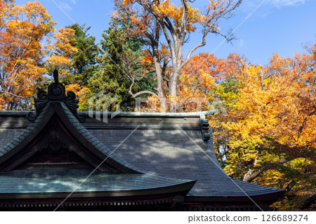 Elegant curved roof of a historic Japanese shrine in Fujiyoshida, Yamanashi, Japan 126689274