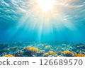 Sunbeams Pierce Tranquil Ocean Depths. 126689570