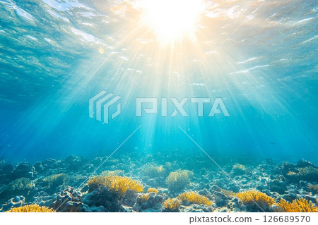 Sunbeams Pierce Tranquil Ocean Depths. Sunbeams Pierce Tranquil Ocean Depths. 126689570