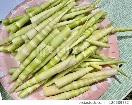 Nemagaritake Bamboo Nemagaritake Bamboo 126689882