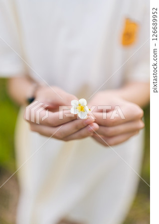 Vertical cropped shot of unrecognizable child girl wearing white dress holding white and yellow wildflower in hands standing in sunny summer meadow filled with vibrant greenery and blooming flora Vertical cropped shot of unrecognizable child girl wearing white dress holding white and yellow wildflower in hands standing in sunny summer meadow filled with vibrant greenery and blooming flora 126689952