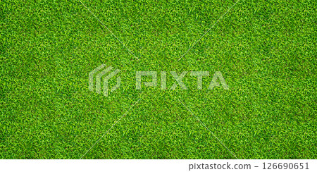 Green grass background. Green lawn pattern and texture. Close up image. 126690651