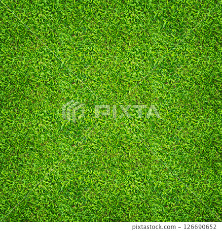 Green grass background. Green lawn pattern and texture. Close up image. Green grass background. Green lawn pattern and texture. Close up image. 126690652