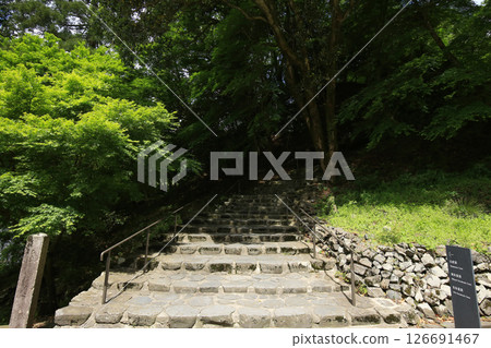 兵庫縣豐岡市玄武洞公園白虎洞之路 126691467