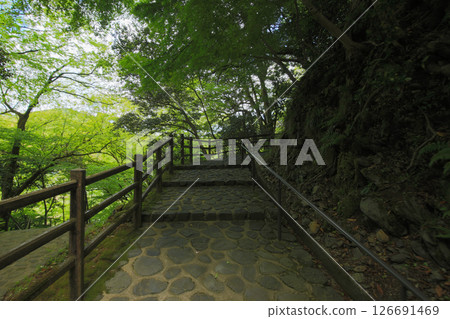 Genbudo Park, Toyooka City, Hyogo Prefecture, Path to Byakko Cave 126691469