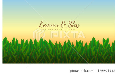 Sunset Sky Behind Lush Green Leaves.  126691548