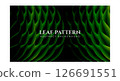 Dark Green Leaf Pattern Abstract Background.  126691551