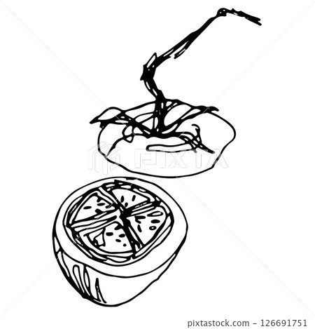 linear hand drawn illustration of a tomato cut in half with stem and seeds on a white background linear hand drawn illustration of a tomato cut in half with stem and seeds on a white background 126691751