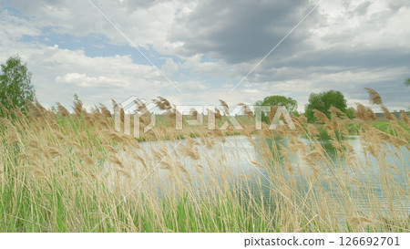 Tranquil Waters and Flowing Reeds Beneath a Colorful Cloudy Sky Providing Serenity Tranquil Waters and Flowing Reeds Beneath a Colorful Cloudy Sky Providing Serenity 126692701