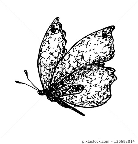 Graphic butterfly. Vector illustration. Hand drawn insect ink for packaging design, postcards, textile, tablecloth, dishes, books Graphic butterfly. Vector illustration. Hand drawn insect ink for packaging design, postcards, textile, tablecloth, dishes, books 126692814