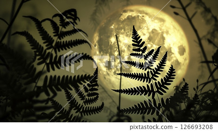 Fern leaves unfurl against a full moon, creating a mesmerizing scene under the night sky's glow. Fern leaves unfurl against a full moon, creating a mesmerizing scene under the night sky's glow. 126693208
