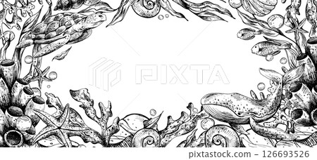 Marine underwater clip art with turtle, whale, shells, sea sponges, corals, starfish, pebbles, seaweed, fish, bubbles. Graphic illustration hand drawn in black ink. Border, template, frame EPS vector. 126693526