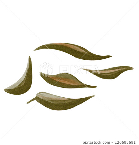 Set of simple autumn leaves. Brown, green and orange colors. Old withered foliage lies. Simple sketch drawing. Watercolor illustration without background. Hand drawing. High quality illustration Set of simple autumn leaves. Brown, green and orange colors. Old withered foliage lies. Simple sketch drawing. Watercolor illustration without background. Hand drawing. High quality illustration 126693691