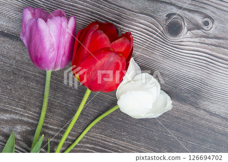 Tulips flowers bunch on dark barn wood planks background. Empty space for copy, text, lettering. Tulips flowers bunch on dark barn wood planks background. Empty space for copy, text, lettering. 126694702
