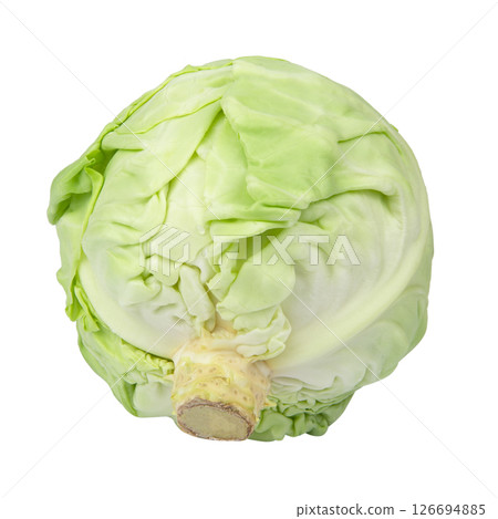 green cabbage isolated on white background 126694885