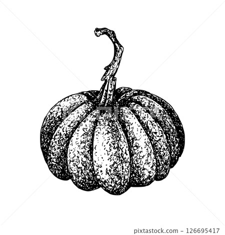 Pumpkin graphic vector illustration. Hand drawn ink gourd in Gothic engraving style for Halloween compositions, isolated from background with white plate. For postcard, packaging, stationery. 126695417