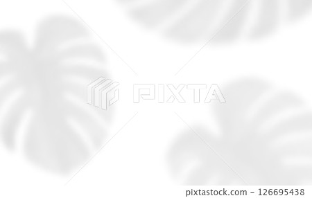 Realistic shadow of monstera leaf. The transparent shadow overlay effect tropical palm leaves isolated on transparent background. Vector illustration 126695438