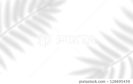 The transparent shadow overlay effect tropical leaves. Realistic shadow of palm branch. Mockup of transparent tropic fern leaves shadow and natural lightning. Vector illustration The transparent shadow overlay effect tropical leaves. Realistic shadow of palm branch. Mockup of transparent tropic fern leaves shadow and natural lightning. Vector illustration 126695439