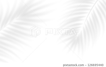 The transparent shadow overlay effect tropical leaves. Realistic shadow of palm branch. Mockup of transparent tropic leaves shadow and natural lightning. Vector illustration 126695440