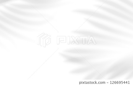 Realistic shadow of palm branch. Transparent shadow overlay effect tropical leaves. Mockup of transparent tropic leaves shadow and natural lightning. Vector illustration 126695441