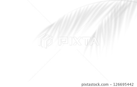 The transparent shadow overlay effect bamboo leaves. Realistic shadow of palm branch. Mockup of transparent tropic leaves shadow and natural lightning. Vector illustration 126695442