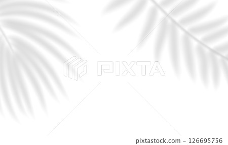 Realistic shadow of palm branch. Abstract transparent shadow overlay effect tropical leaves. Mockup of transparent tropic leaves shadow and natural lightning. Vector illustration Realistic shadow of palm branch. Abstract transparent shadow overlay effect tropical leaves. Mockup of transparent tropic leaves shadow and natural lightning. Vector illustration 126695756