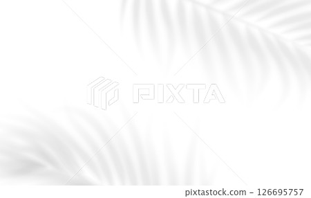 Transparent shadow overlay effect tropical leaves. Realistic shadow of palm branch. Mockup of transparent tropic leaves shadow. Vector illustration Transparent shadow overlay effect tropical leaves. Realistic shadow of palm branch. Mockup of transparent tropic leaves shadow. Vector illustration 126695757
