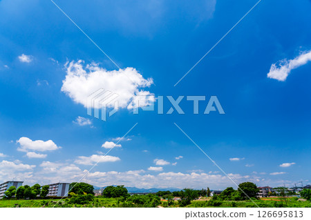 Early summer blue sky and suburban residential area 126695813