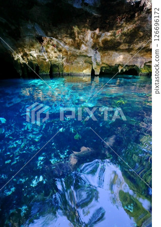 Gran Cenote, a hidden gem with exceptional transparency, located in Cancun, Mexico, Central America 126696172