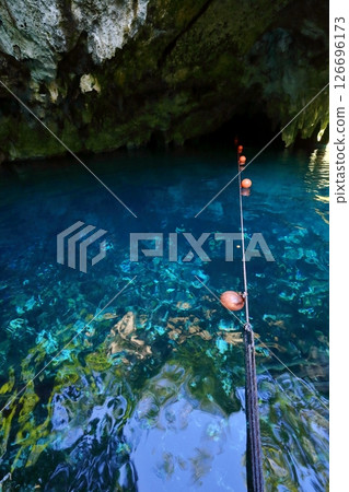Gran Cenote, a hidden gem with exceptional transparency, located in Cancun, Mexico, Central America 126696173