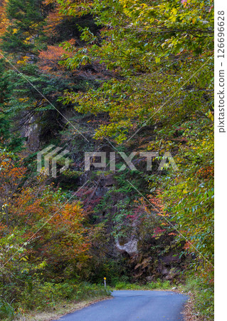 長野縣大草村的秋天：阿寺溪的紅葉（溪谷道路） 126696628