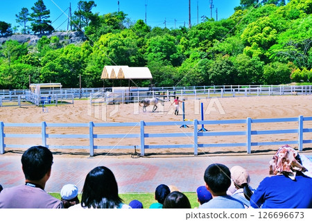 Horse performance 126696673