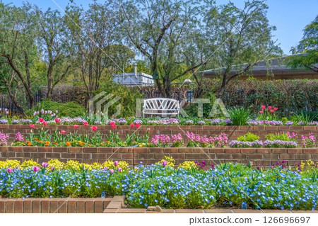Spring flowerbed scene with colorful flowers in full bloom Spring flowerbed scene with colorful flowers in full bloom 126696697