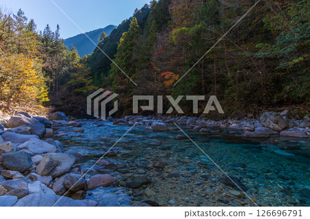 Autumn in Okusa Village, Nagano Prefecture, Autumn leaves in Atera Valley, Unari Island Autumn in Okusa Village, Nagano Prefecture, Autumn leaves in Atera Valley, Unari Island 126696791