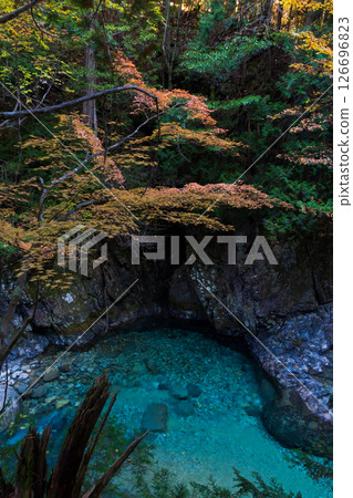 Autumn in Okusa Village, Nagano Prefecture: Autumn leaves in Atera Valley 126696823