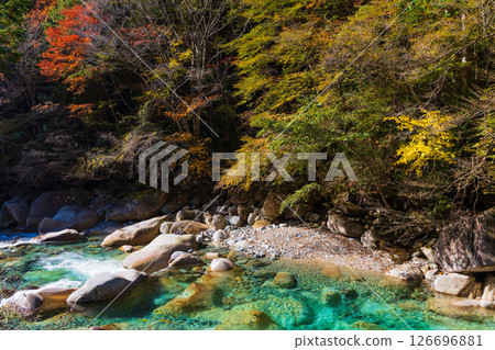 Autumn in Okusa Village, Nagano Prefecture: Autumn leaves in Atera Valley Autumn in Okusa Village, Nagano Prefecture: Autumn leaves in Atera Valley 126696881