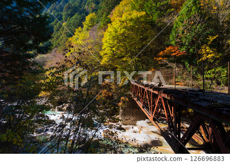 Autumn in Okusa Village, Nagano Prefecture - Autumn leaves in Atera Valley - Remains of the forest railway Autumn in Okusa Village, Nagano Prefecture - Autumn leaves in Atera Valley - Remains of the forest railway 126696883