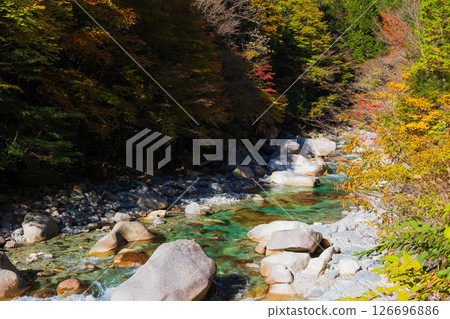 Autumn in Okusa Village, Nagano Prefecture: Autumn leaves in Atera Valley 126696886