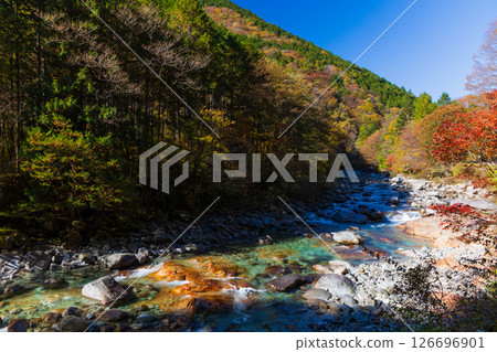 Autumn in Okusa Village, Nagano Prefecture: Autumn leaves in Atera Valley Autumn in Okusa Village, Nagano Prefecture: Autumn leaves in Atera Valley 126696901