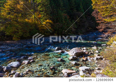 Autumn in Okusa Village, Nagano Prefecture: Autumn leaves in Atera Valley Autumn in Okusa Village, Nagano Prefecture: Autumn leaves in Atera Valley 126696904
