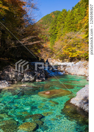 Autumn in Okusa Village, Nagano Prefecture: Autumn leaves in Atera Valley Autumn in Okusa Village, Nagano Prefecture: Autumn leaves in Atera Valley 126696907