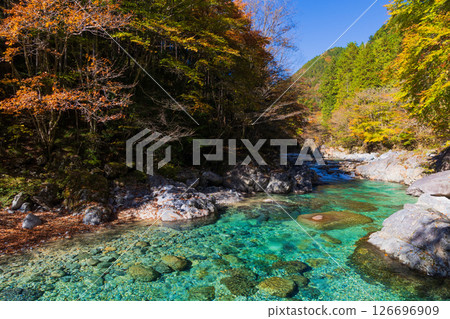 Autumn in Okusa Village, Nagano Prefecture: Autumn leaves in Atera Valley 126696909