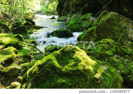 一條美麗的山間溪流,水清澈,苔蘚茂盛 一條美麗的山間溪流,水清澈,苔蘚茂盛 126696977