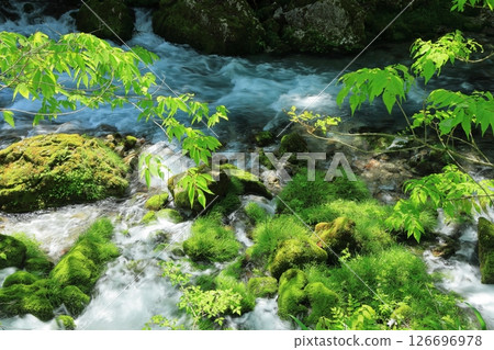 一條美麗的河流,水清澈,水生植物豐富 一條美麗的河流,水清澈,水生植物豐富 126696978