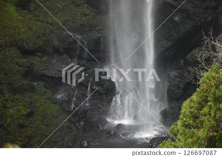 Oita Prefecture, Fukuno Falls, Oita Prefecture, Waterfall 126697087